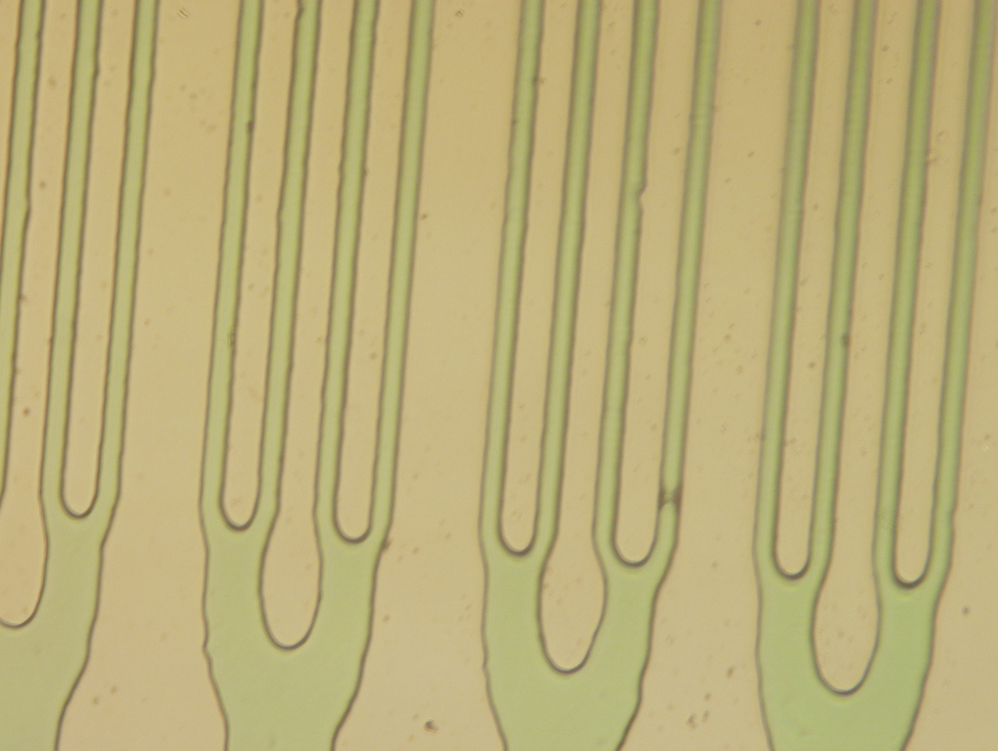 Example of microchannel capillaries